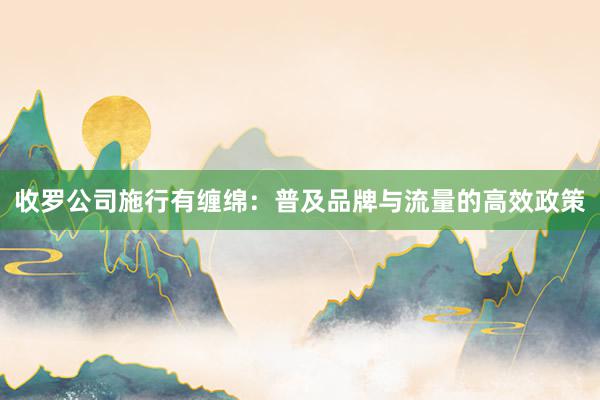 收罗公司施行有缠绵：普及品牌与流量的高效政策